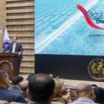 بخش خصوصی کشاورزی ایران و عراق باید کنسرسیوم تشکیل دهند